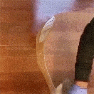 Beewax Furniture Polish